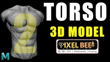torso / HUMAN model part-2 /  Autodesk Maya / tutorial / pixelbee animation / srinu yadav