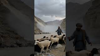 Sudden Flood Video #reallife #afghanistanpeople #reallife