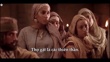 Dụ ngôn Lúa tốt và Cỏ lùng | Truyện Kinh Thánh