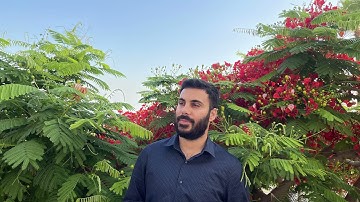 سورة المرسلات بصوت القارئ نورالدين سليم نوري