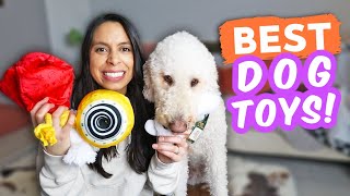 BEFORE Buying Another Dog Toy, WATCH THIS!!  Plus, BarkBox Unboxing!