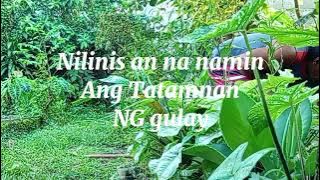 Nag simula na kmi mag linis ng pag tataniman ng mga gulay