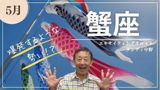 【蟹座💫5月の運勢】5月あなたに起きること〜爆発するような勢い！？〜