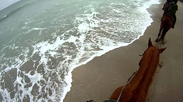 I prefer sand and surf under my feet instead of ice and snow. Beach ride 2/6/14