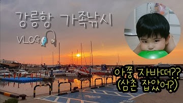강릉항 조카랑 전갱이낚시 가족낚시 화장실,편의점 바로앞 생활낚시 & 바다루어낚시 (너무 귀여운 조카들에게 남기는영상)