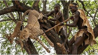 When the Predator is the Prey: Cheetah Hunting in Africa