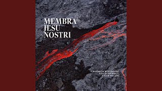 Download Lagu Cantata IV. Ad latus: V. Hora mortis MP3