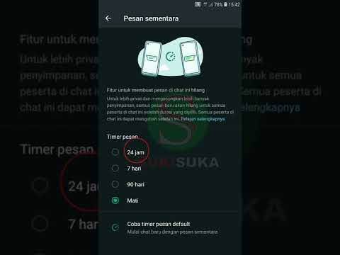 WhatsApp PESAN SEMENTARA