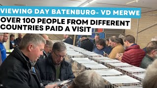 Batenburg-vd Merwe viewing day auction 2022-2023