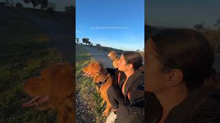 THE KEY TO HAPPINESS: APPRECIATING THE SIMPLE THINGS ✨🤍🌅  #shorts #happiness #nature #sunsets