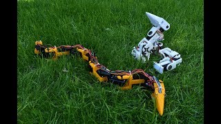 Bioinspired Robotic Snake (3D printed)