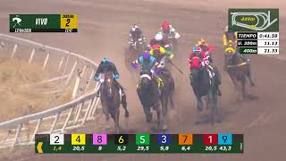 Vidéo de la course PMU PREMIO KALAMAZU