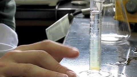 DNA Extraction from Bananas
