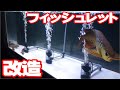 【アクアリウム熱帯魚】フィッシュレット大改造【アロワナ錦鯉ポリプ】
