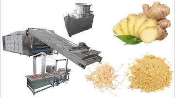 Ginger Washing Drying machine Dehydrator