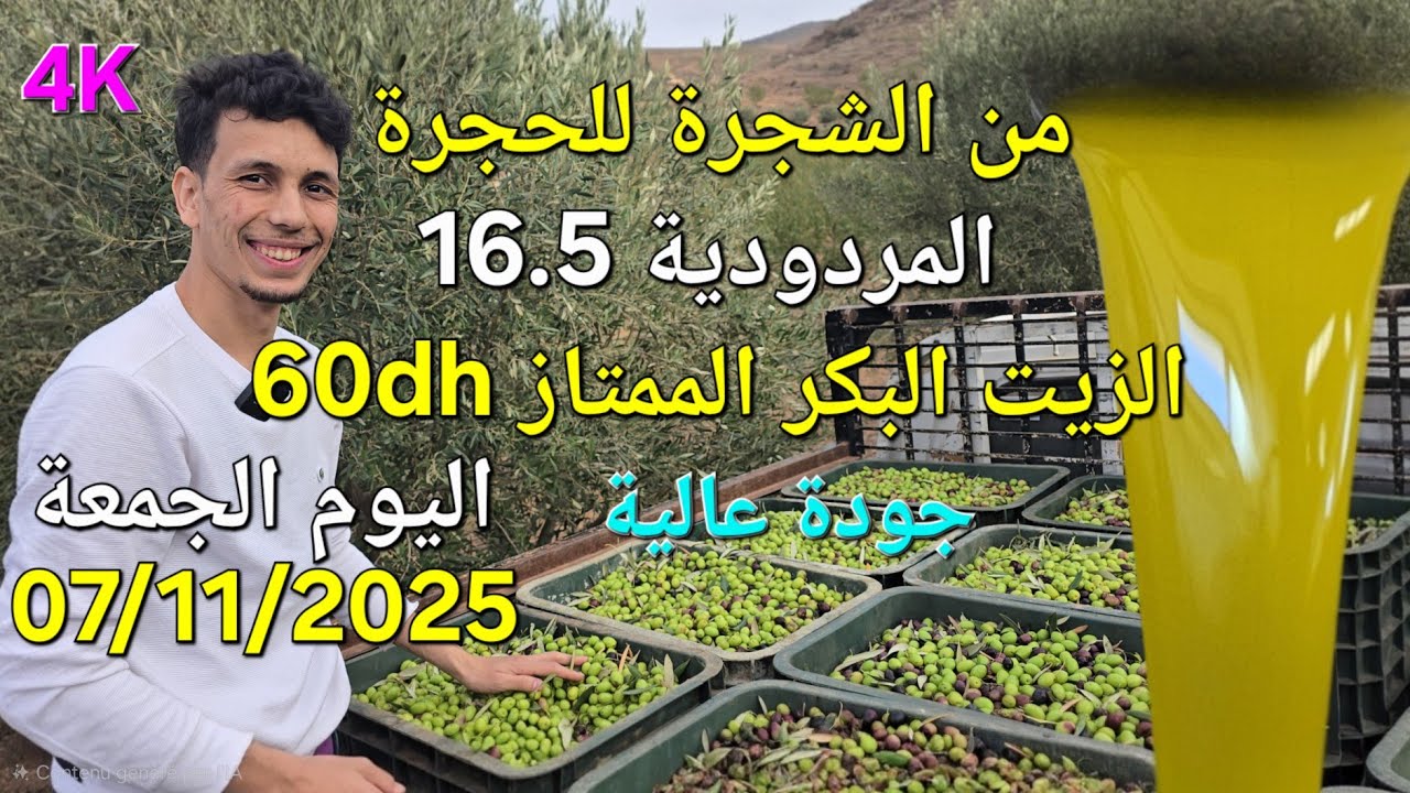 زيت الزيتون البكر الممتاز راس جيري اليوم الجمعة 07/11/2025