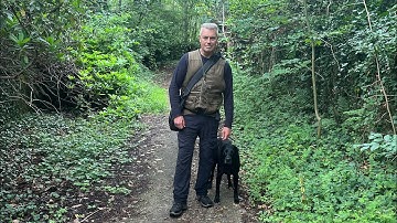 Gundog Training- Memory Retrieve into Cover