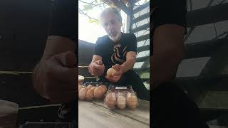 Ekolojik Üretim Yumurta