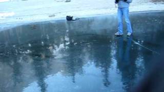 MVI_3878.AVI