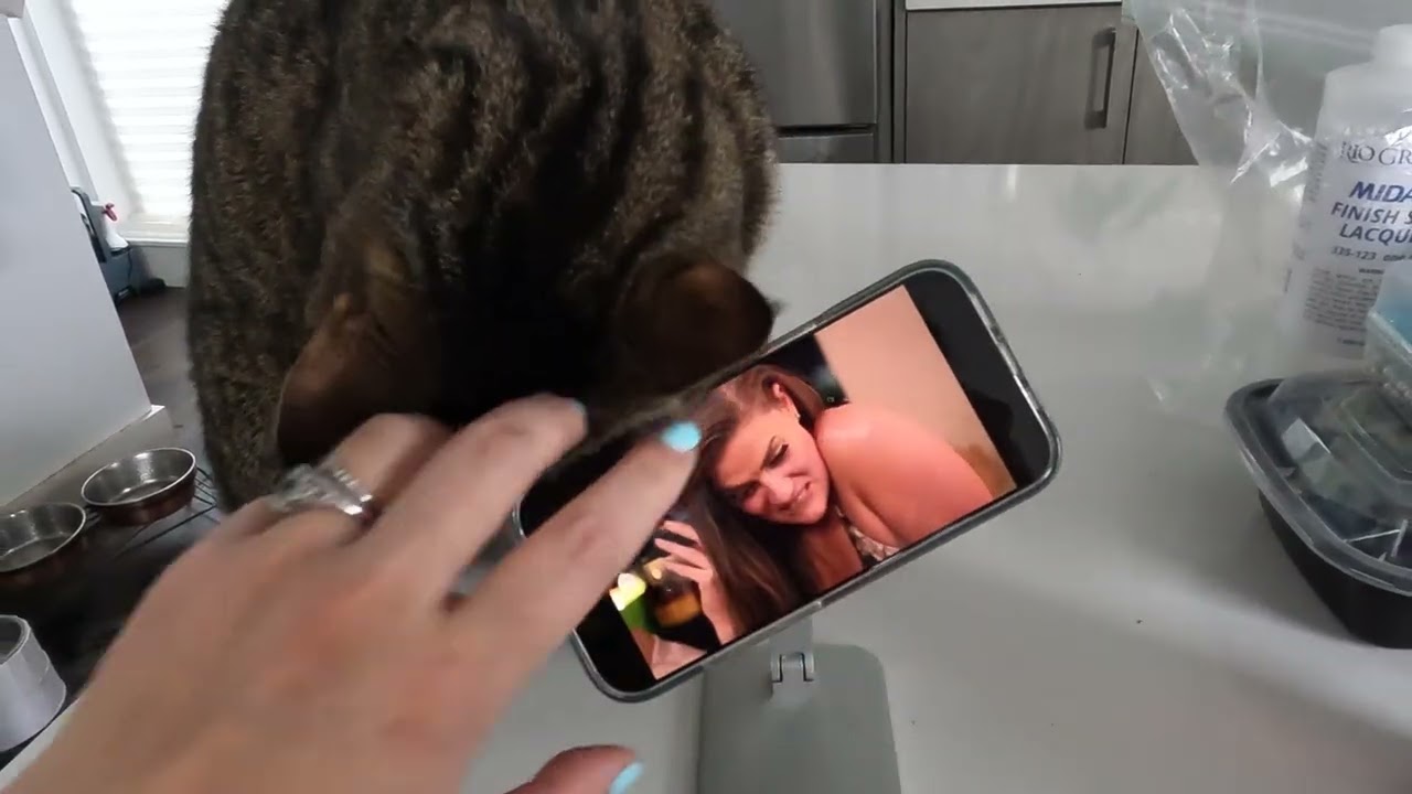 Cat loves og VPR drama