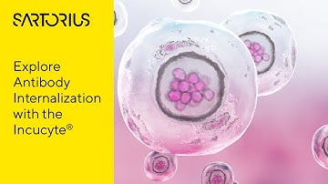 Introducing the Incucyte® Live-Cell Analysis System: Antibody Internalization