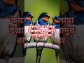 কালেমা-লা ইলাহা ইল্লাল্লাহু মুহাম্মাদুর রাসুলুল্লাহ সাঃ #shorts