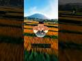 #aesthetic #sorts #trending #viralvideo #facts #foryou #viralshorts #asmr #funnyshorts