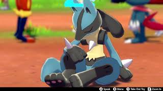 Lucario Sleep