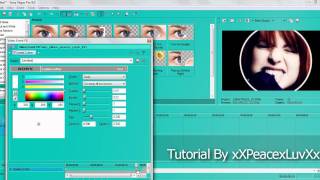 Sony Vegas Effect Tutorial #28