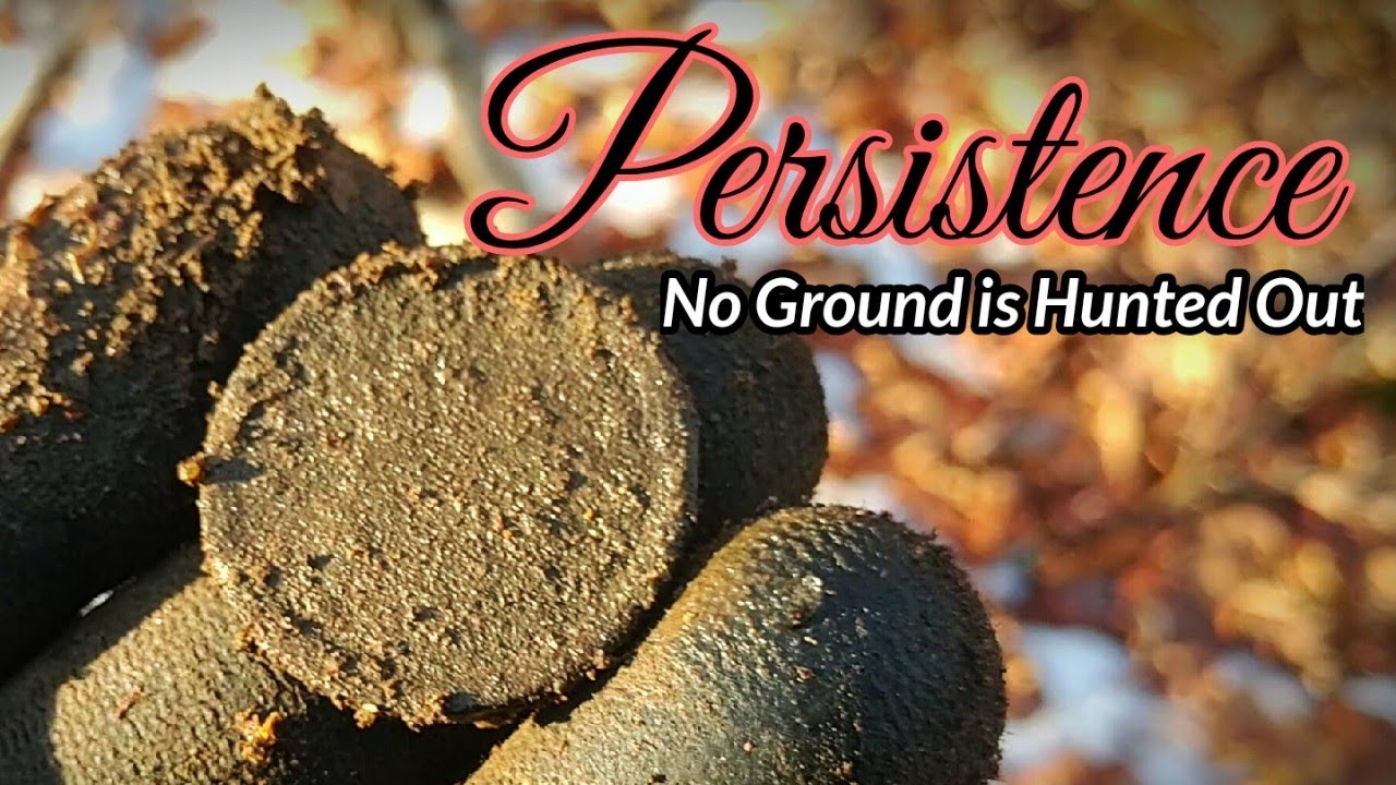 Persistence | No Ground is Hunted Out | Metal Detecting in New Hampshire Persistence | No Ground is Hunted Out | Metal Detecting in New Hampshire