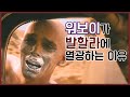 매드맥스 총정리 - 세계관/인물편