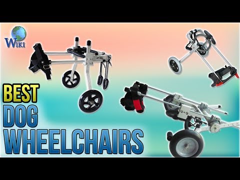 7-best-dog-wheelchairs-2018