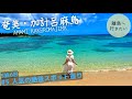 【奄美大島】奄美観光の人気スポットを巡ったら絶景すぎた(鹿児島/観光Kagoshima/Amamioshima/Japan) #5