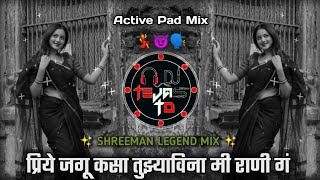 Ashwini Ye Na Dj Song - प्रिये जगू कसा तुझ्याविना | Shreeman Legend 🗣️| Active pad Mix | Dj Tejas TD