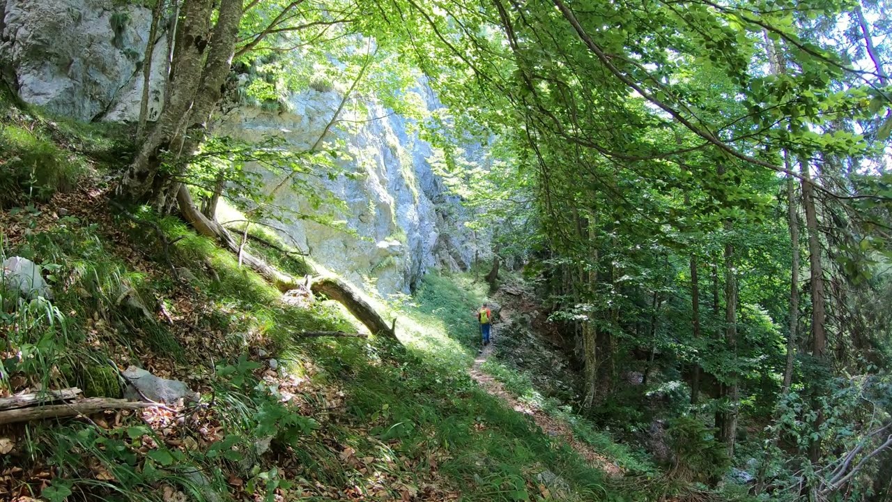 casera Razzo, col Marende, crodon di Tiarfin (cima est), casera Tartoi, casera Tragonia - 16/08/2022