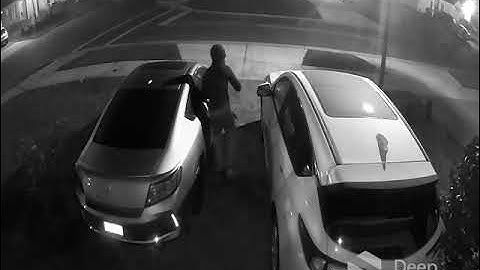 STOPPED by Deep Sentinel: Live Guards Preventing Auto Theft