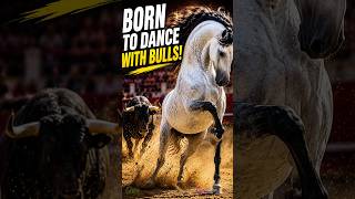 Calul care NU se teme de tauri – Lusitanul legendar (Lusitano Horse vs Bull)