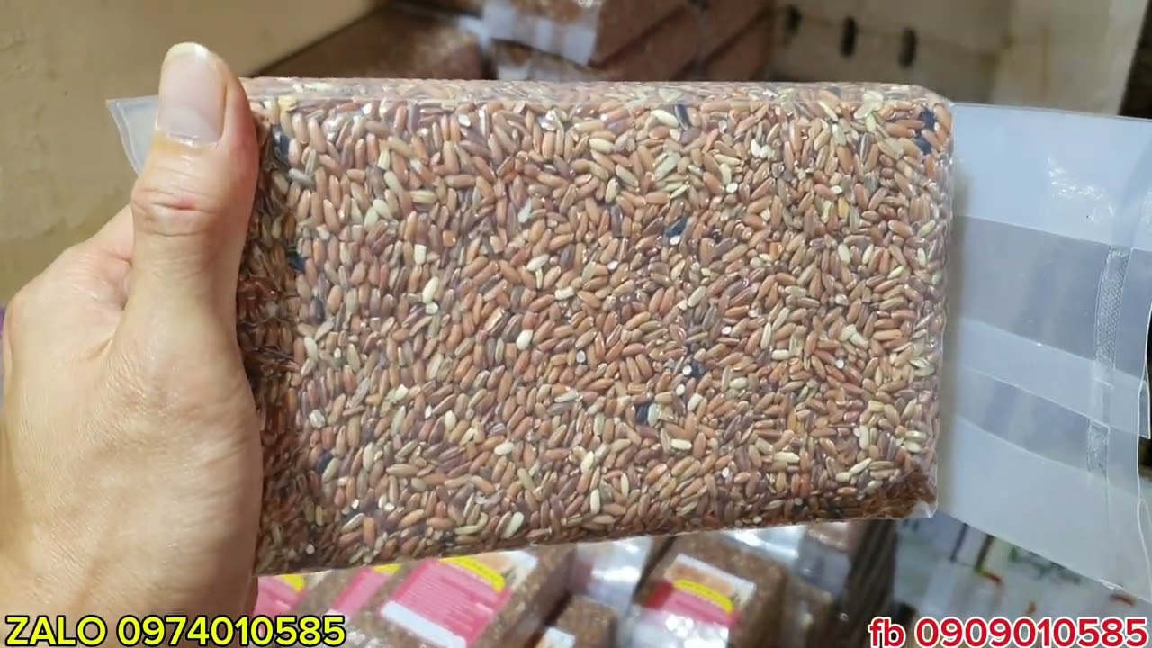 GẠO LỨT SÉNG CÙ, GẠO LỨT ĐEN, GẠO LỨT ĐỎ, GẠO LỨT TAM SẮC, GẠO NẾP NƯƠNG GIÁ BAO NHIÊU ?