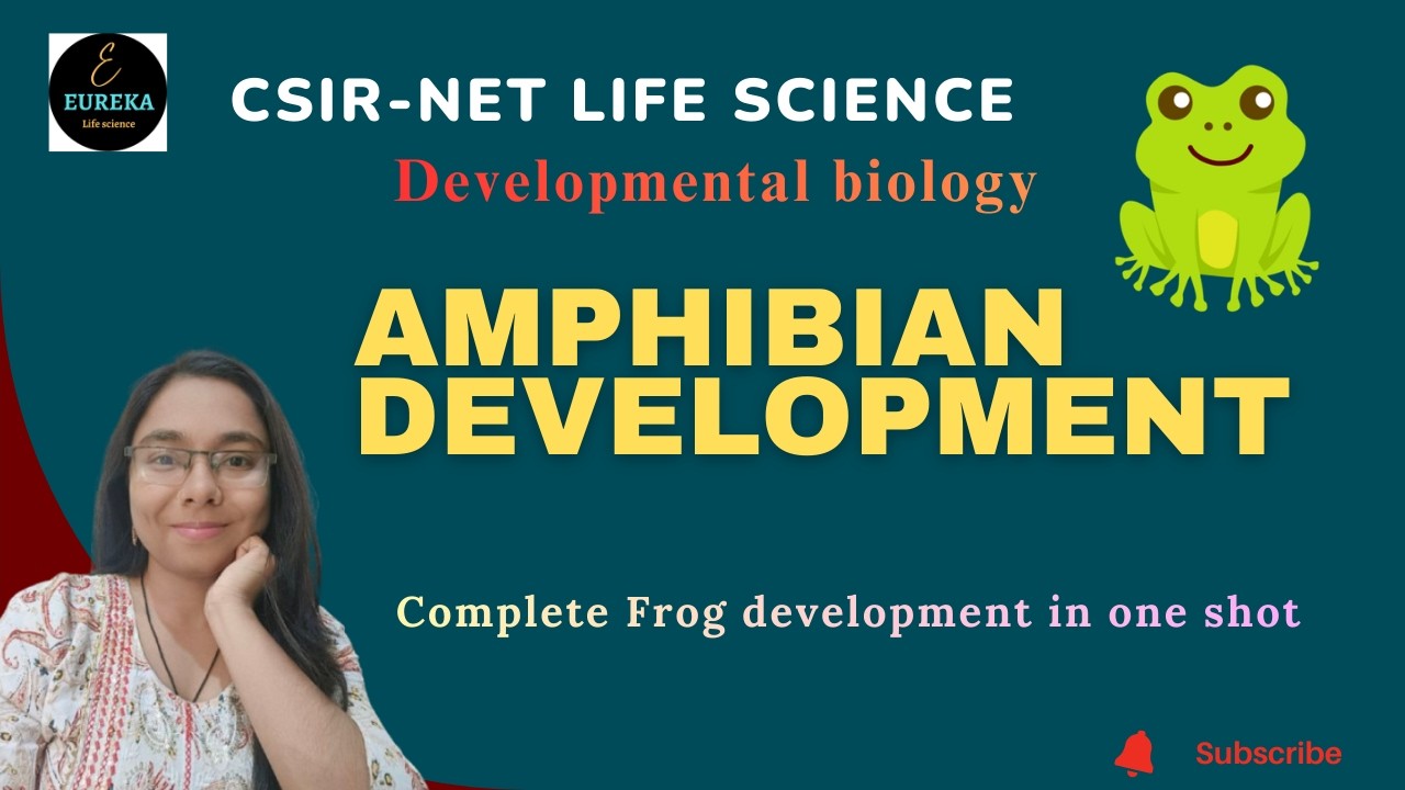 Amphibian Development | Developmental Biology | Goldi Namdev | CSIR | Life Science | DBT | GATE