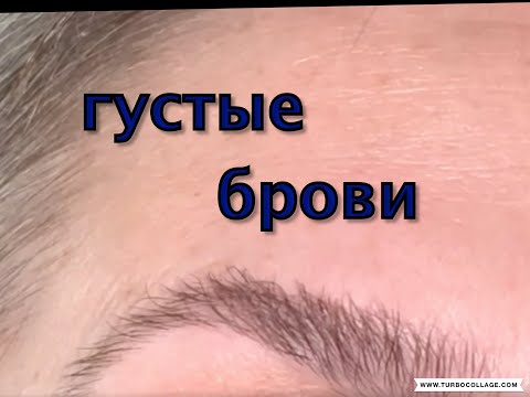 Видео: Как позаботиться о лягушке: 15 шагов (с иллюстрациями)