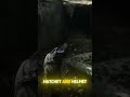 You Probably Missed This Legendary Viking Secret in RDR2 😱