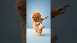 Muy divertido de caminar  #catdance #kucingjojet #kucingeymoy #cucula