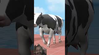 Long Slide Game with Cow Elephant Gorilla Hippopotamus Tiger 3d Animal Game Funny 3d Animals