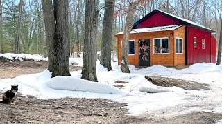 Off-Grid Cabin with Secret root cellar, hidden pantry, \& solid security. GREAT IDEAS!