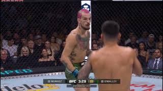 Sean O'Malley vs Pedro Munhoz Full Fight Full HD