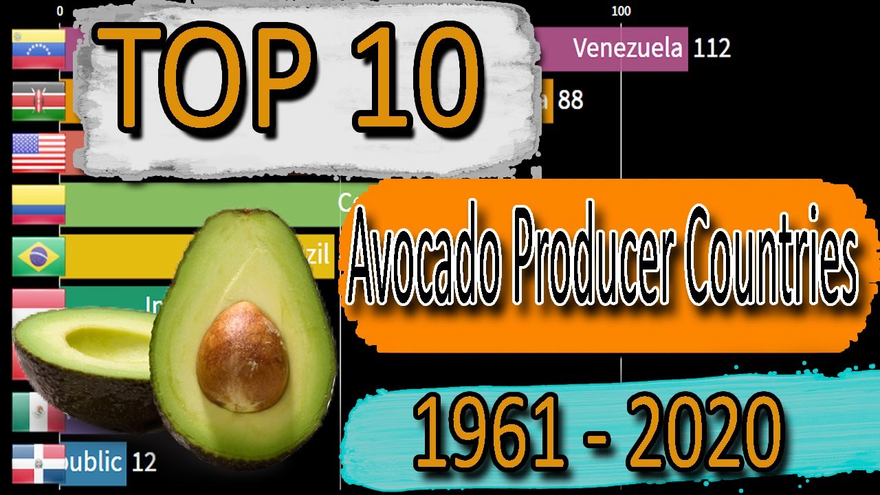 Top 10 Largest Avocado Producer Countries 1961 2020 YouTube