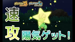 ポケモンUSUM】色違いタツベイをGETしてみた【Shiny Bagon】 - YouTube