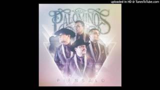 Los Palominos - Tuyo Quiero Ser (2016) chords