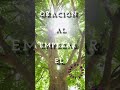 #oraciónalempezareldía#Dios #amor #esperanza Buenos días hermanas hermanos Dios nos siga bendiciendo