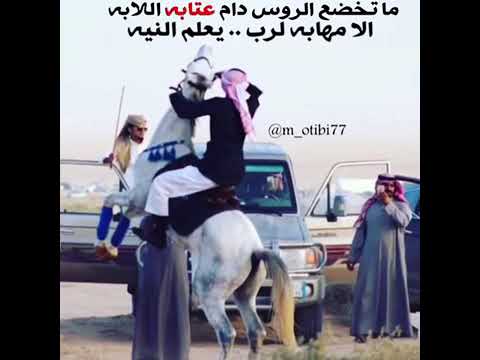 شيله ما تخضع الروس دام عتابه اللابه